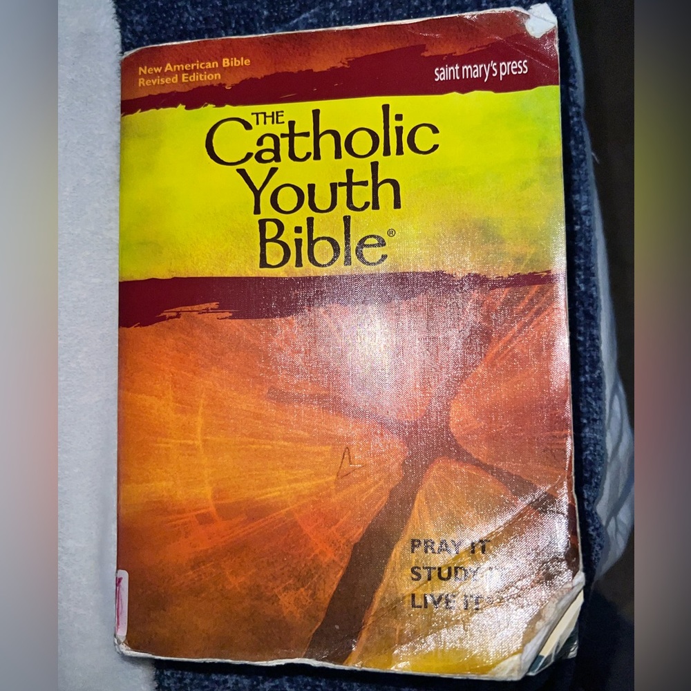 The Catholic Youth Bible. ISBN 978-1-59982-141-2. Decent condition. Paperback